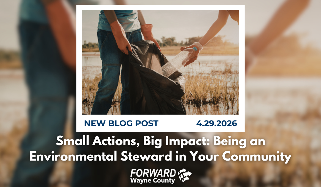 Small Actions, Big Impact: Being an Environmental Steward in Your Community