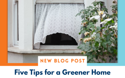 Five Tips for a Greener Home