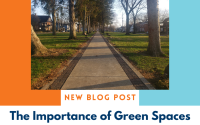 The Importance of Green Spaces