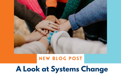 A Look at Systems Change