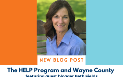 The HELP Program and Wayne County